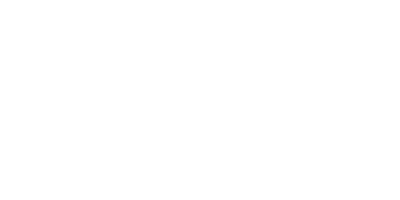 a white check point logo