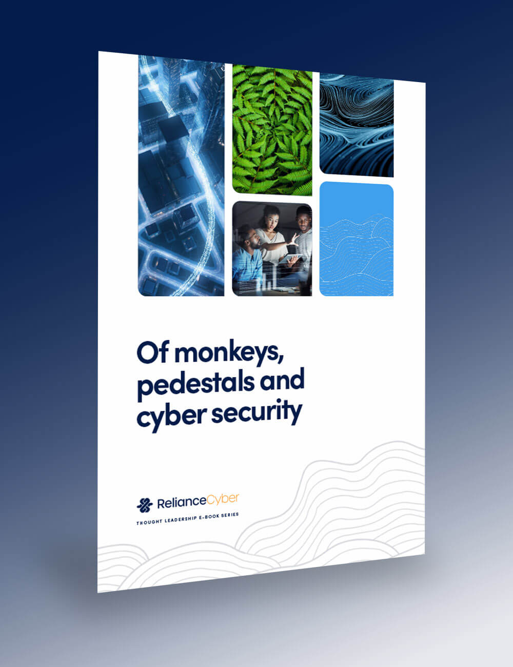 Of monkeys,
pedestals and
cyber security booklet