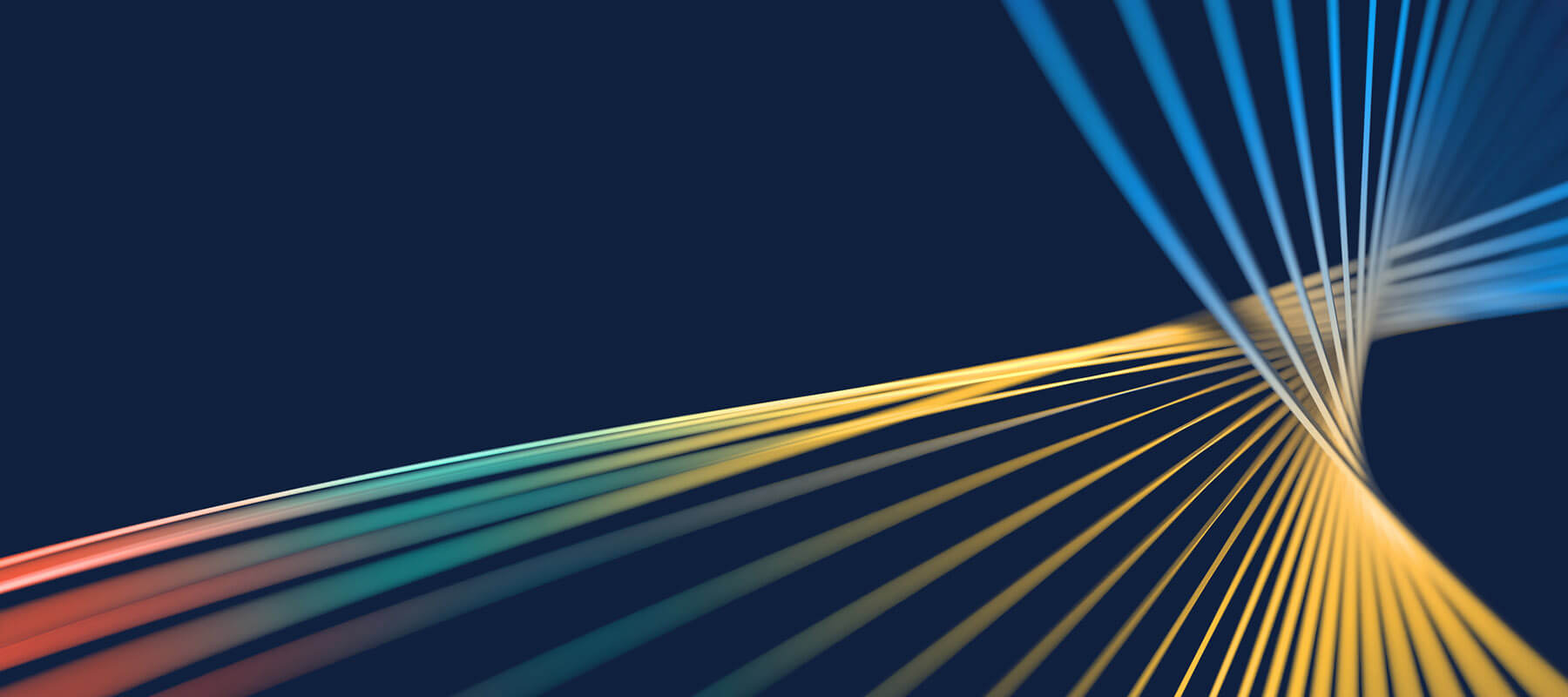 Trading update from the executive chair